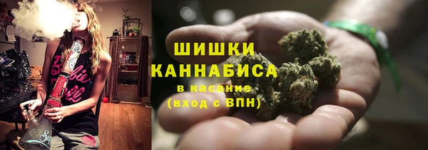 крисы Вяземский