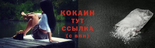 крисы Вяземский