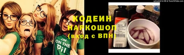 крисы Вяземский
