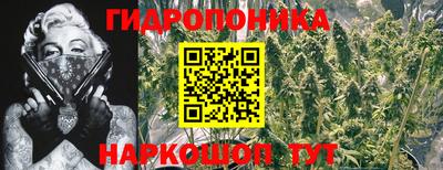 мдпв Донской