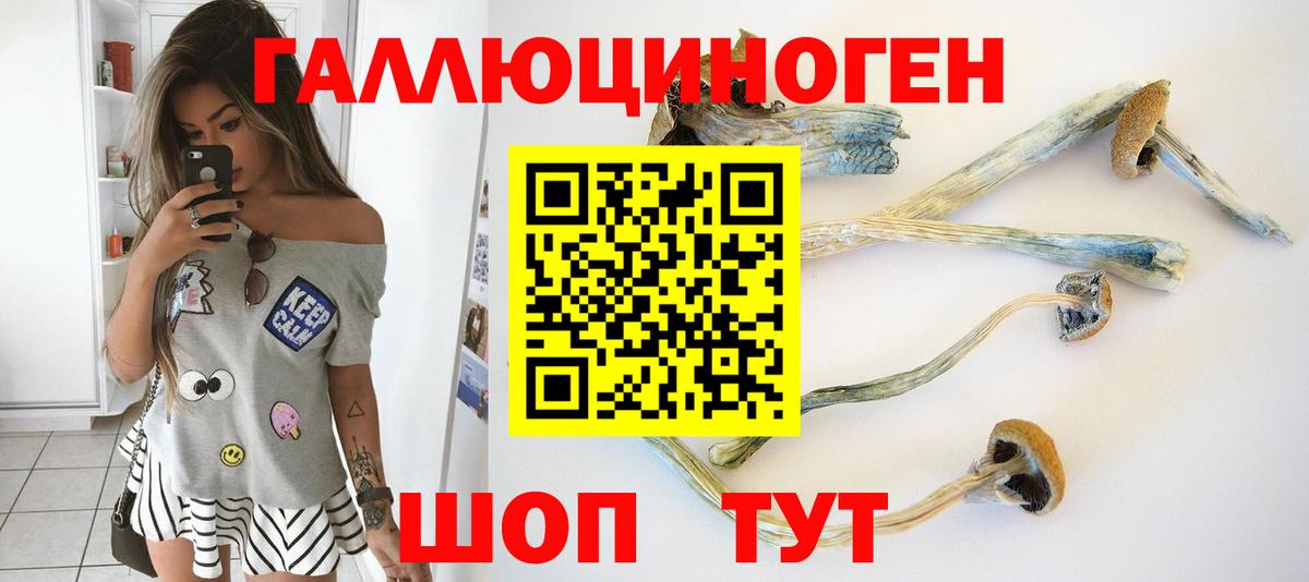 Галлюциногенные грибы GOLDEN TEACHER  Вход с VPN  магазин продажи наркотиков  Псилоцибиновые грибы Psilocybe  Рубцовск 